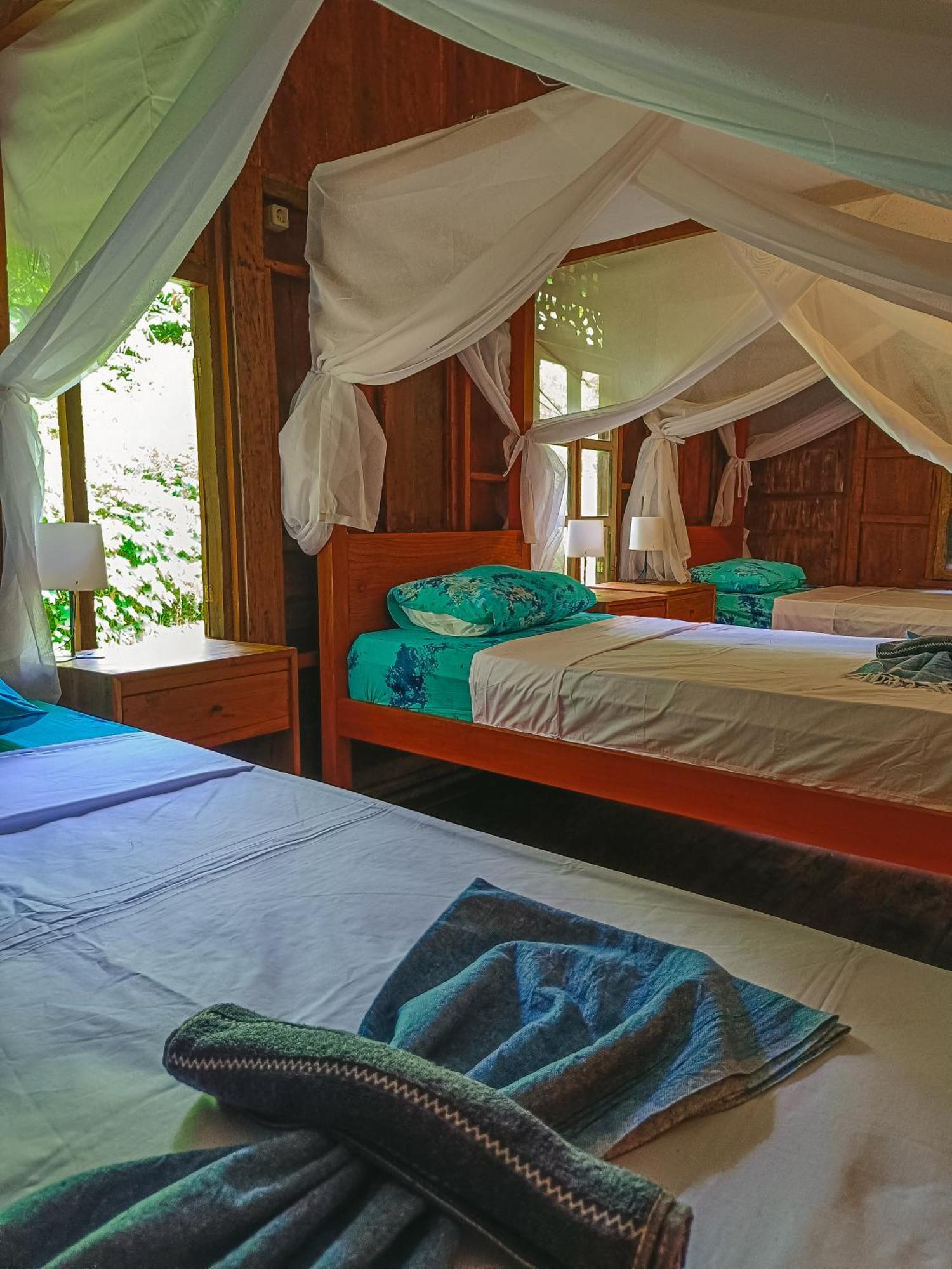 Alaya Ecolodge Pemuteran Buitenkant foto