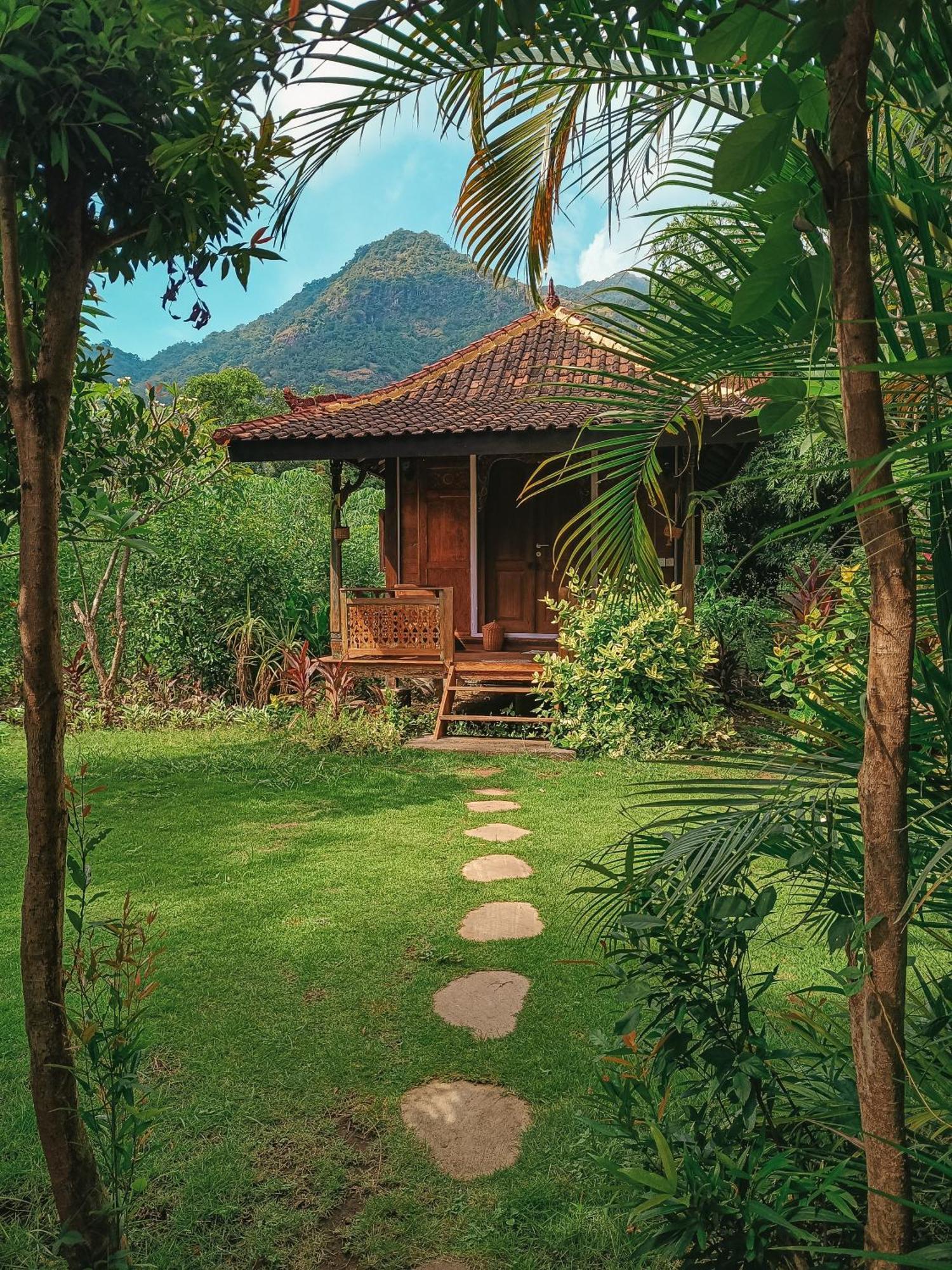 Alaya Ecolodge Pemuteran Buitenkant foto