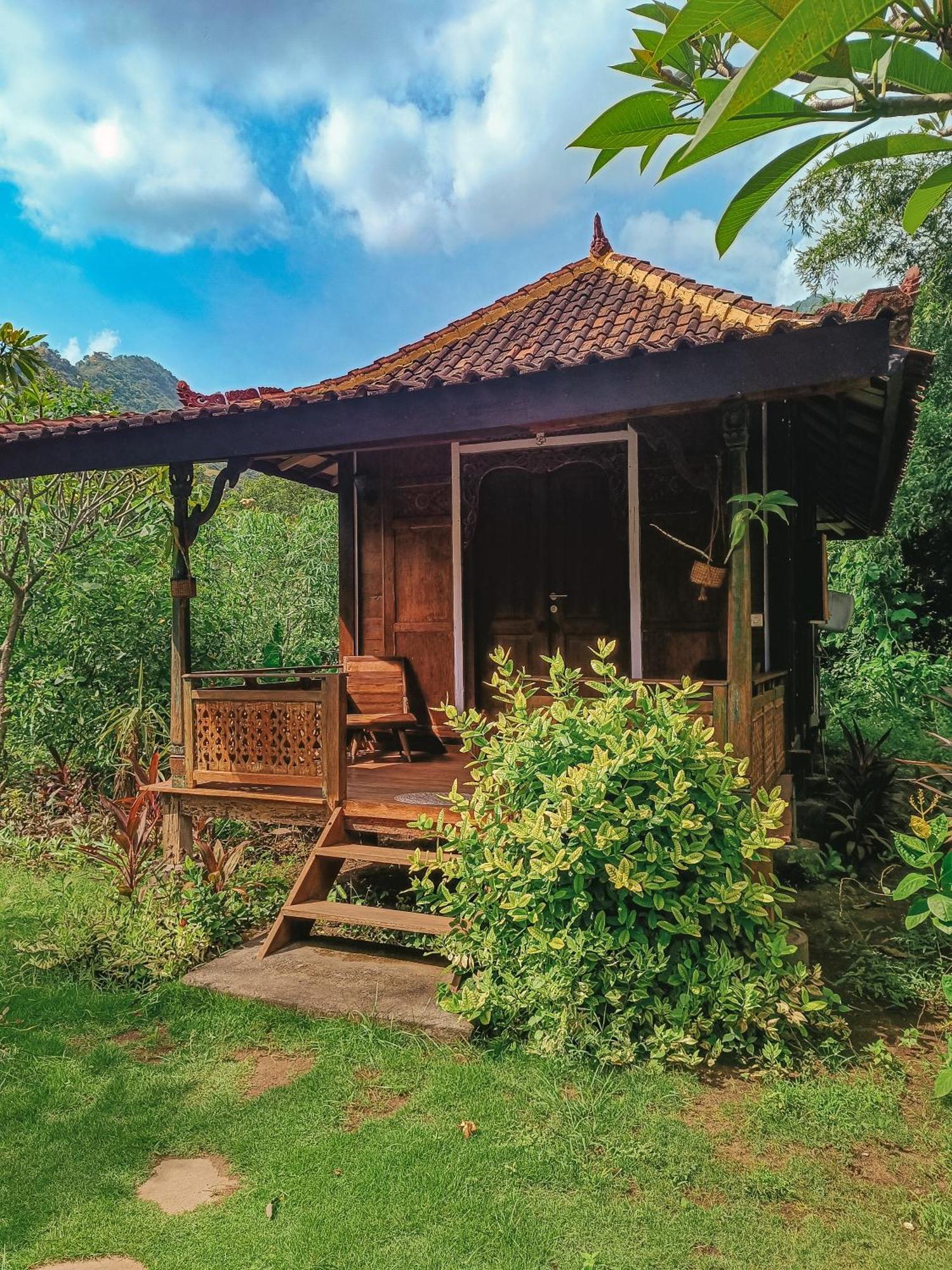 Alaya Ecolodge Pemuteran Buitenkant foto